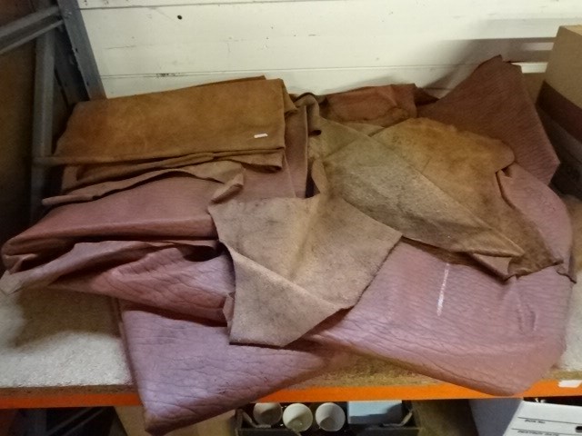 Very large cow/small elephant hide in one piece