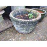 Weathered Concrete Garden Pot