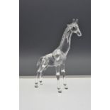 Swarovski Crystal Baby Giraffe (236717), boxed with certificate