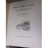 Bird Sketches and field Observations Philip Rickman 1938