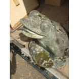 Large concrete frog water fountain