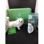 Royal Doulton Persian Cat (DA 132) and Highbank Porcelain Tom Cat, both boxed (2)