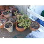 Qty Terracota Pots and Planters ( must take the soil away thats in them )