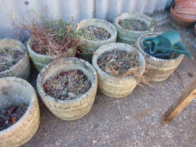 10 Concrete Barrel Planters ( buyer must clear soil and contents of pots ) - Image 2 of 2