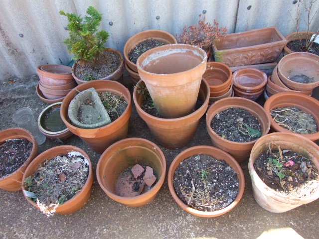 Qty Terracota Pots and Planters ( must take the soil away thats in them ) - Image 4 of 5