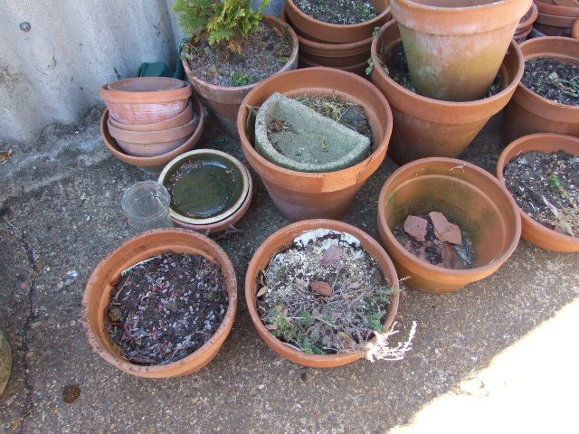 Qty Terracota Pots and Planters ( must take the soil away thats in them ) - Image 5 of 5