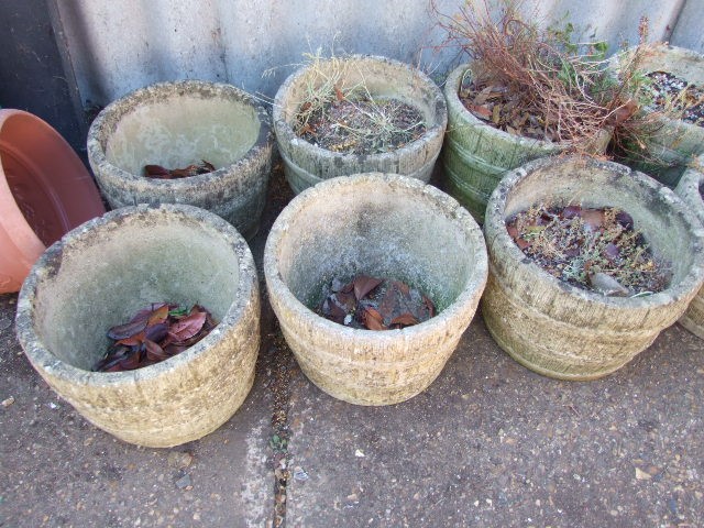 10 Concrete Barrel Planters ( buyer must clear soil and contents of pots )