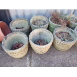 10 Concrete Barrel Planters ( buyer must clear soil and contents of pots )