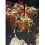 4 Plastic Chimney Pot Planters ( buyer must take contents of pots as well soil / plants )