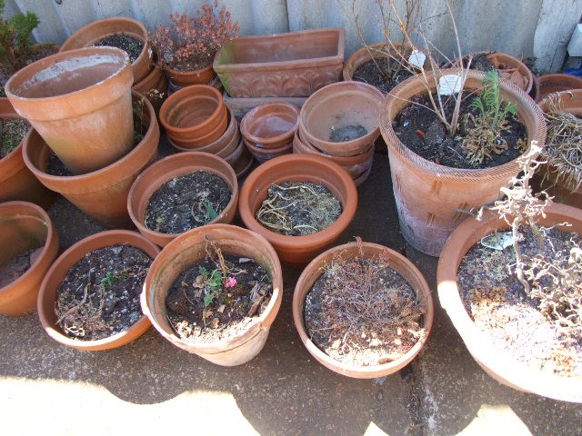 Qty Terracota Pots and Planters ( must take the soil away thats in them ) - Image 3 of 5