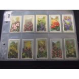 Gallaher Wild Flowers full set of 48 cards