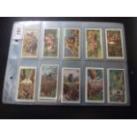 Wills Cigarettes Life in the Tree Tops full set of 50 cards