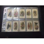 John Player Wild Birds full set of 50 cards