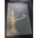 British Birds' Nests : How, Where, And When To Find And Identify Them Hardcover 1908 by Richard