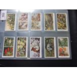 WD Wills Life in the Hedgerow full set of 50 cards