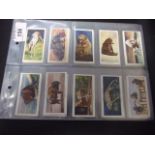 Ogdens Zoo Studies full set of 50 cards