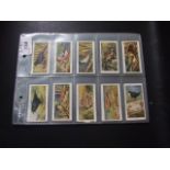 John Player Wild Birds full set of 50 cards