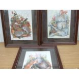 SET OF 3 FRAMED AND GLAZED PRINTS DEPICTING WILDLIFE