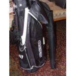 Golf Bag & Modern Snooker Cue