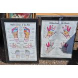 A pair of prints - Reflections on hands and feet, Crane School - modern clip frames