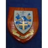 Heraldic coat of arms for 'Jones', handpainted