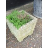 Square Concrete Planter