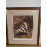Signed limited edition print of badgers (?Mike Causton) 11.25" x 14"