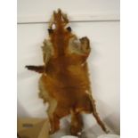 Fox Pelt