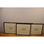 A set of 4 embroidered "Sayings" each 11" x 13" in a frame. (1 frame a/f)