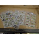 Collection of Wills and Player cigarette cards featuring livestock and cricketers
