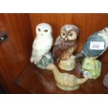 4 Whyte & Mackay Whisky Birds , 2 Owls , Osprey & Merlin