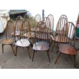 12 Ercol Windsor Quaker Chairs ( 10 + 2 carvers )