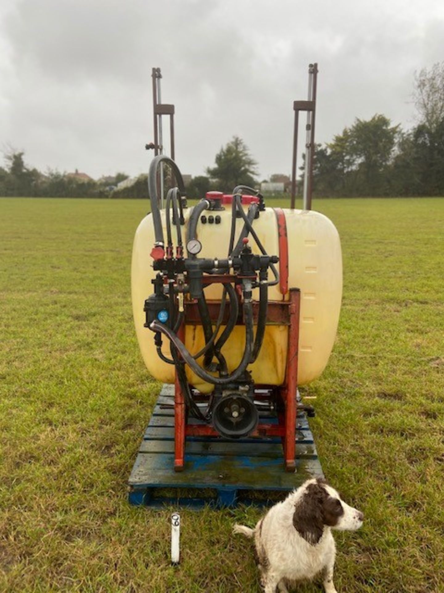 Hardi Sprayer converted for Rasberries - pump only 2 years old - Image 2 of 2