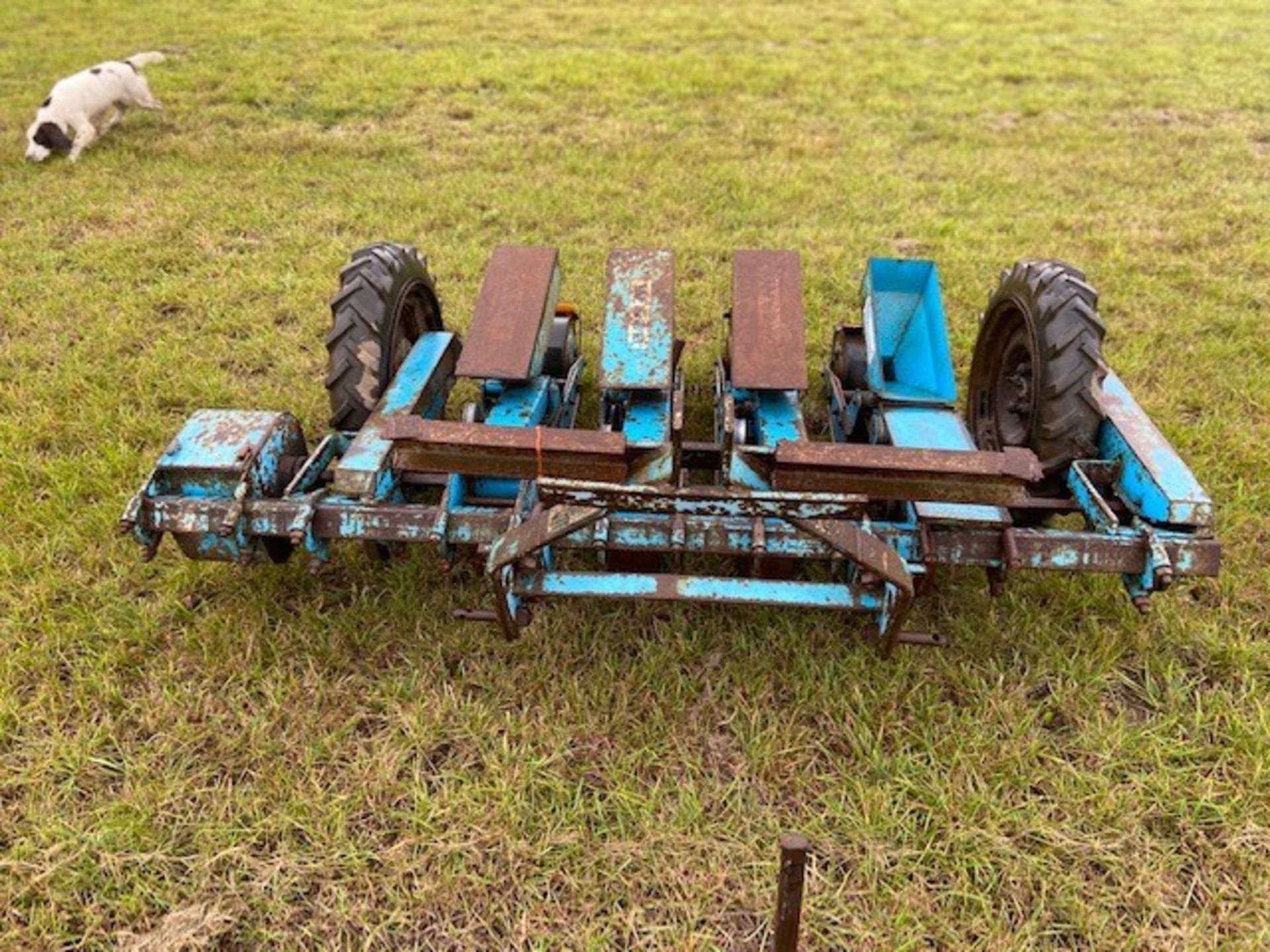 4 row Webb onion drill