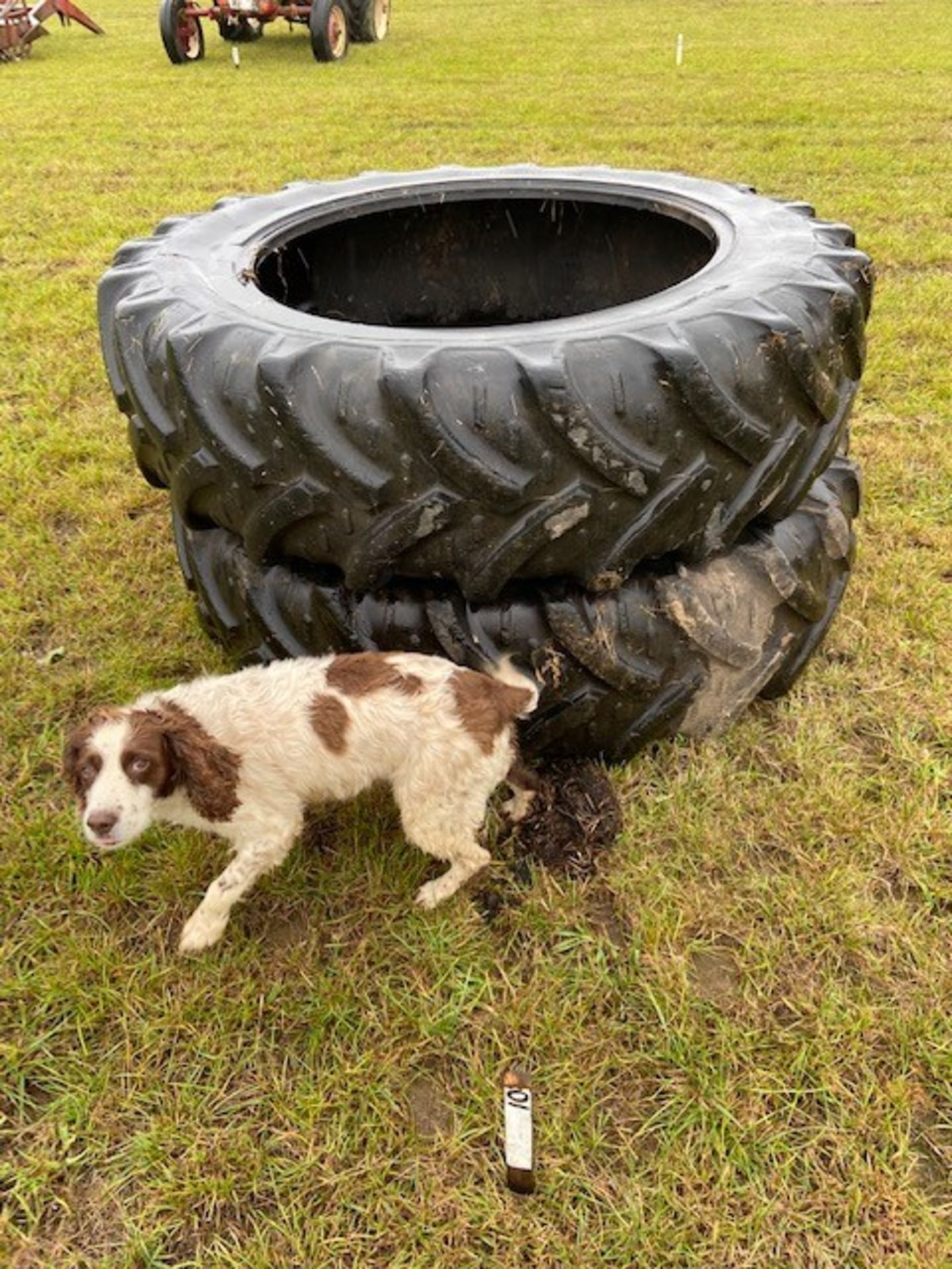 16.9,38 tractor rear tyres