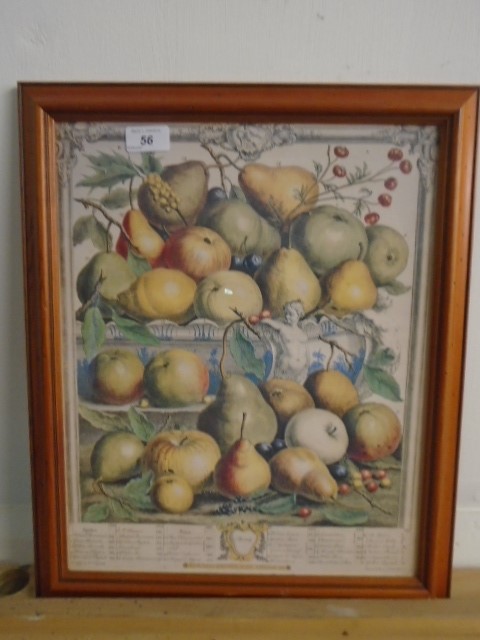 Print Robert Fubor 1732 - Spring fruit species Kensington Palace