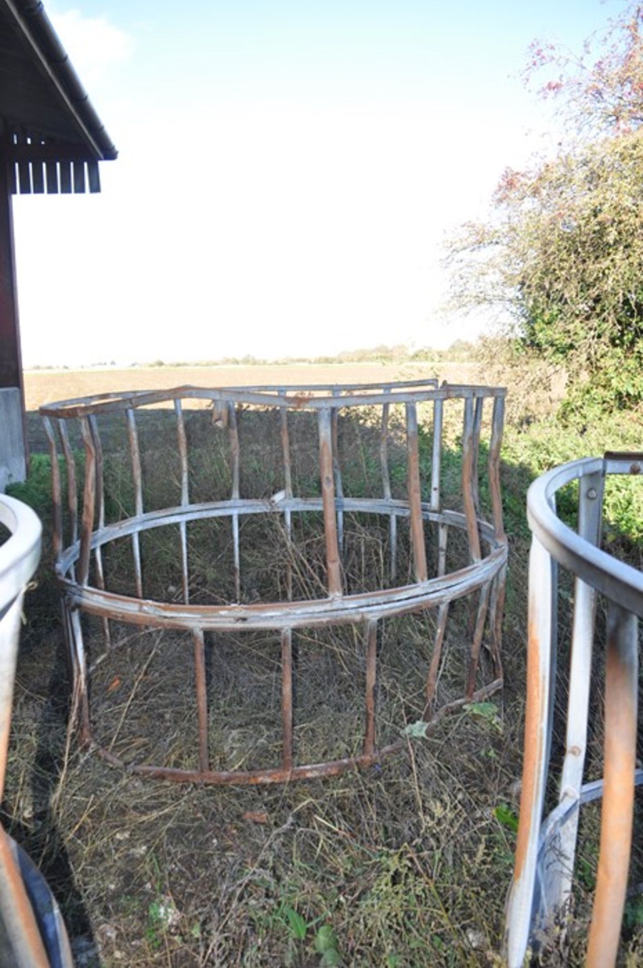 Galvanised Cattle Feed ring