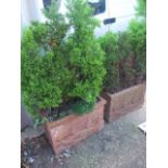 Pair of Rectangular Terracotta Planters