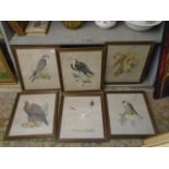 Set of 6 framed Birds of Prey prints, K J Wood 1979, each approx 51cm x 47cm (glass broken on one)