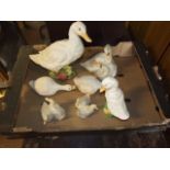 Box of Geese