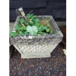 Square Concrete Garden Pot 16 x 16 inches 13 1/2 tall