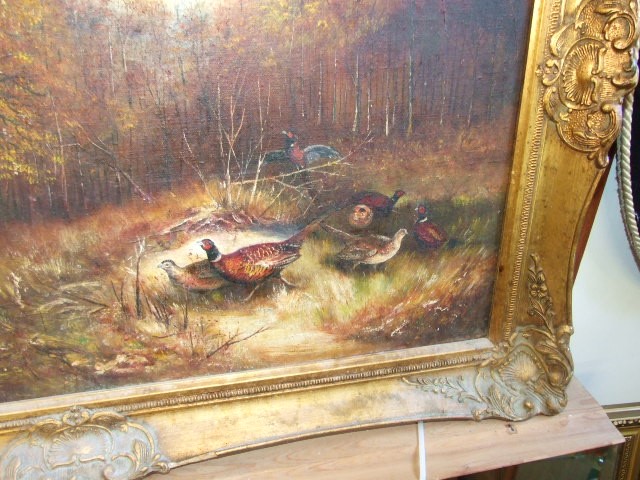 Oil on Canvas in Gilt Frame Pheasants in woodland 29 x 20 inches - Image 2 of 4