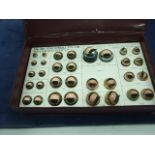 Tak Mei Cased Dolls Eye Samples