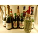 10 Bottles of various sparkling to include Asti, II Cinzano, Pineapple wine, 2 Hell Beers,