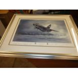 Framed Limited Edition Signed Print " Lightning " Michael Rondot 266/300