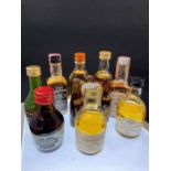 A collection of scotch whisky miniatures to include: Glen Rothes 12yr old malt; Old Bushmills