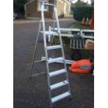 Alloy Step Ladder