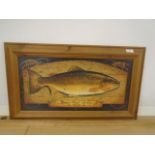 Framed picture of Brown Trout