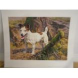 Sally Mitchell limited edition print 6/195 of a terrier "All Set" by Frederick J Haycock