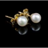 6mm pearl and 9ct yellow gold stud earrings